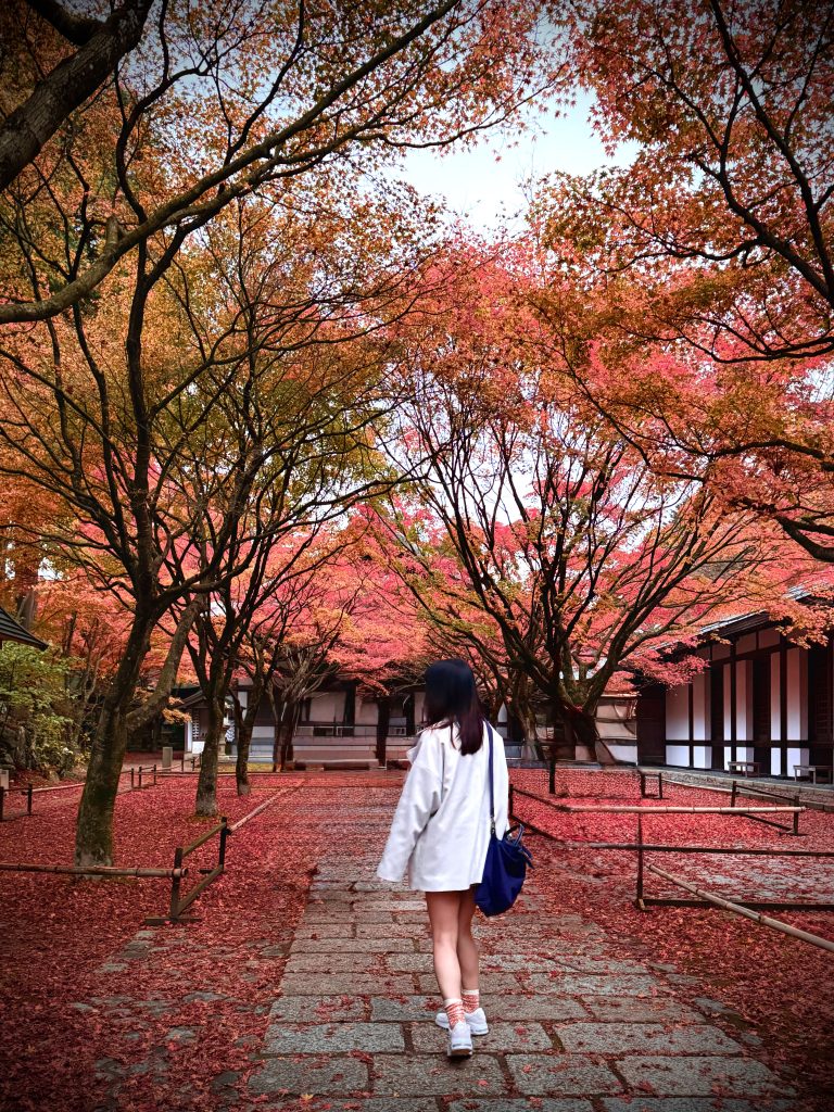 Autumn in Fukuoka
